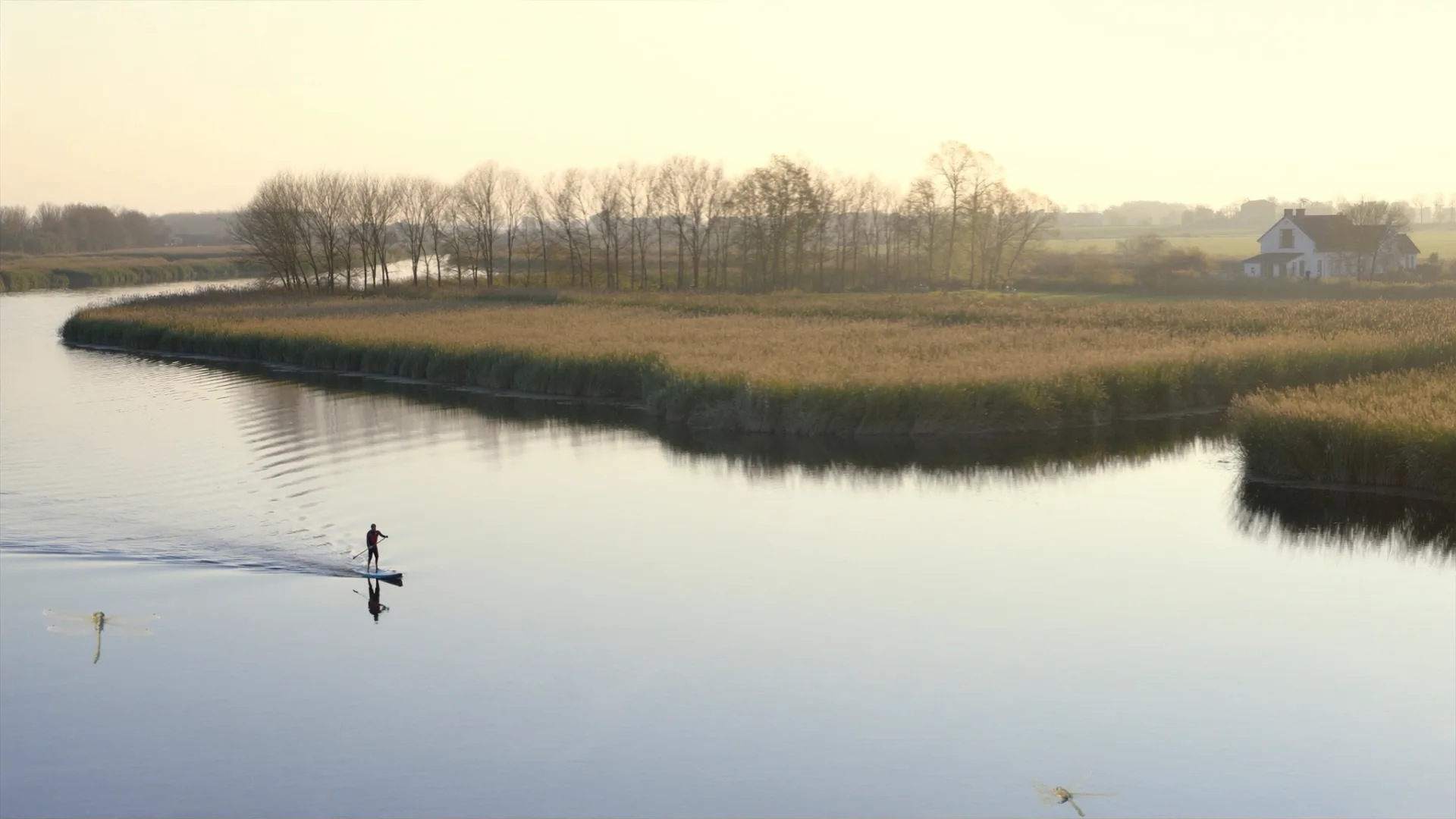 Loosdrechtse Plassen — SUP-impressie